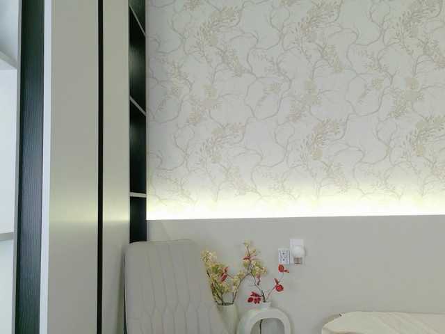 flora-puffini webcam