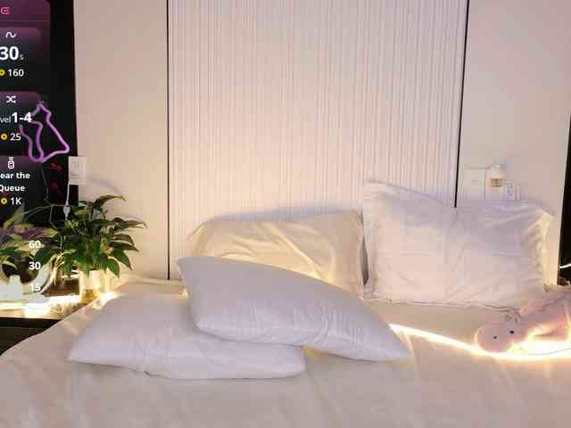 flora-puffini webcam