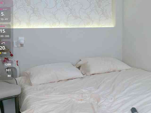 flora-puffini webcam