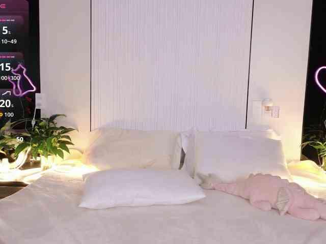 flora-puffini webcam