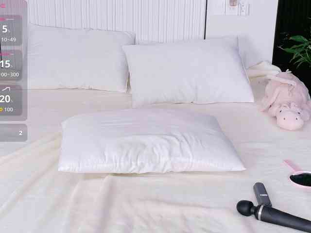 flora-puffini webcam