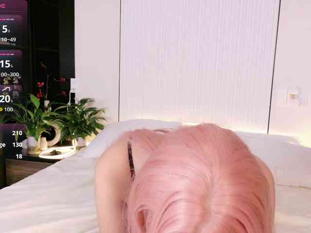 flora-puffini webcam