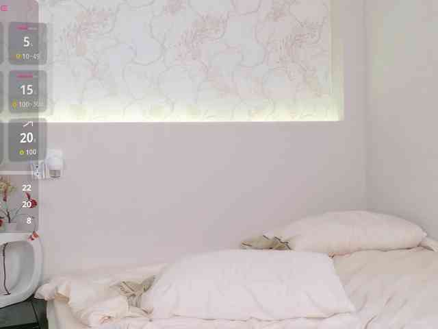 flora-puffini webcam