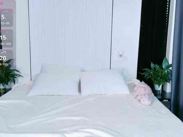 flora-puffini webcam