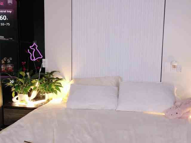 flora-puffini webcam