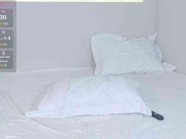 flora-puffini webcam