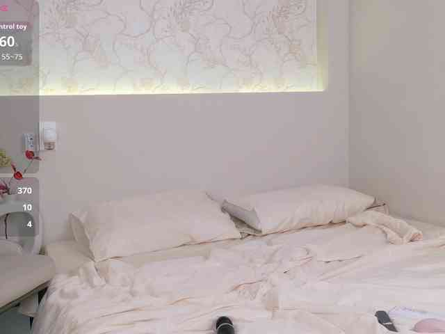 flora-puffini webcam