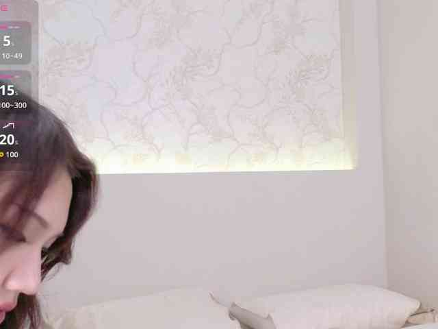 flora-puffini webcam