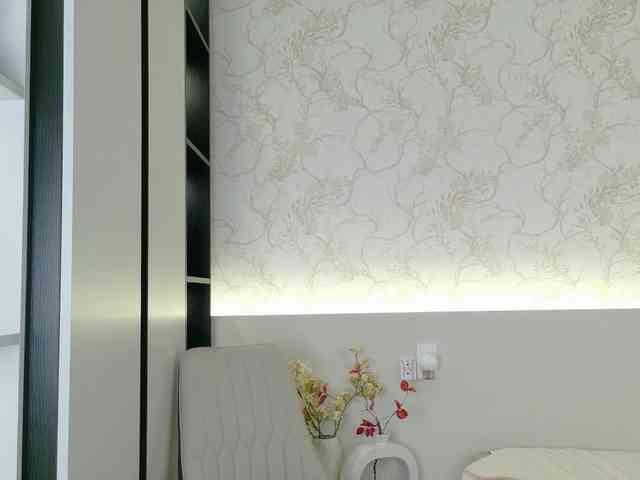 flora-puffini webcam