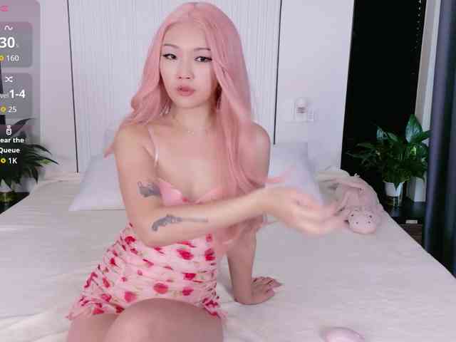 flora-puffini webcam