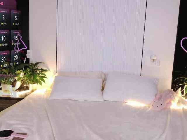 flora-puffini webcam