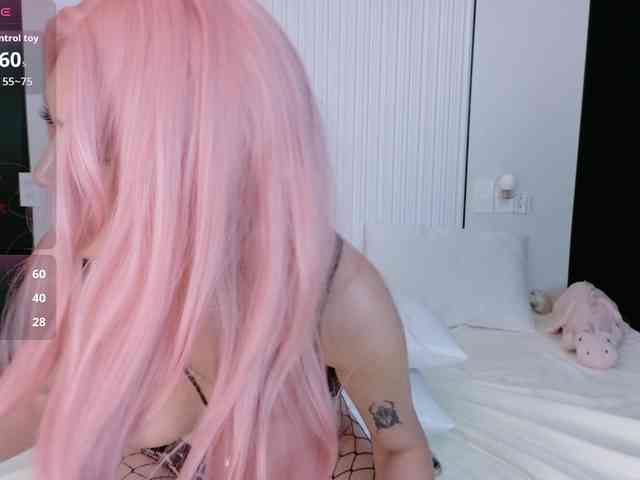 flora-puffini webcam