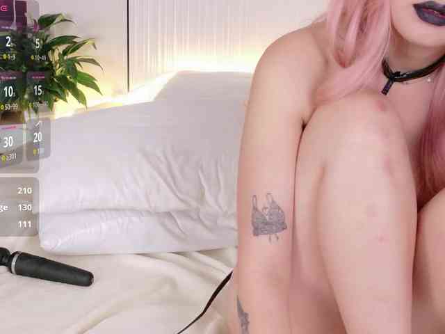 flora-puffini webcam