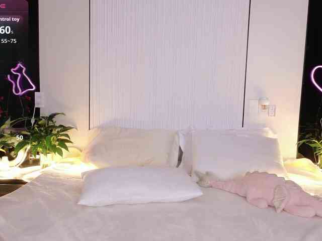 flora-puffini webcam