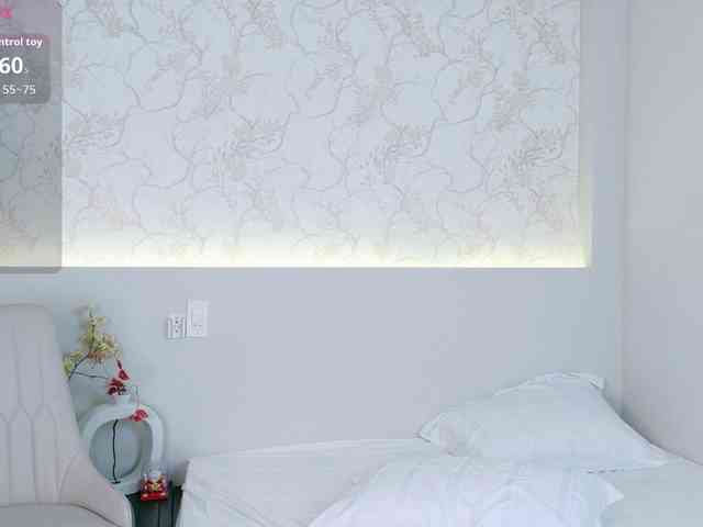 flora-puffini webcam