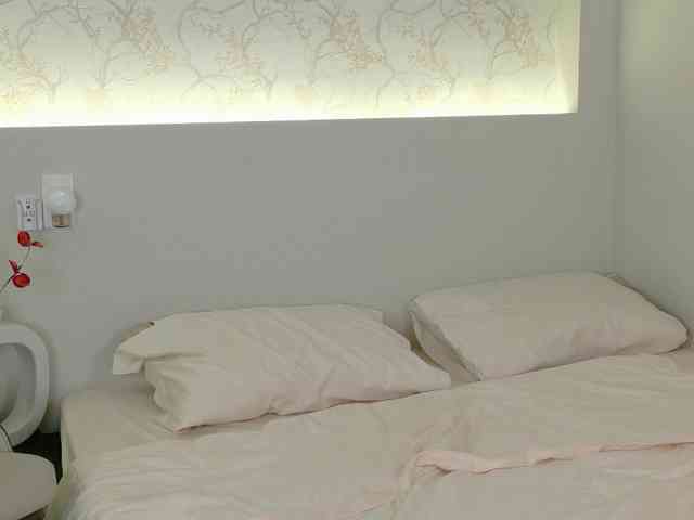 flora-puffini webcam