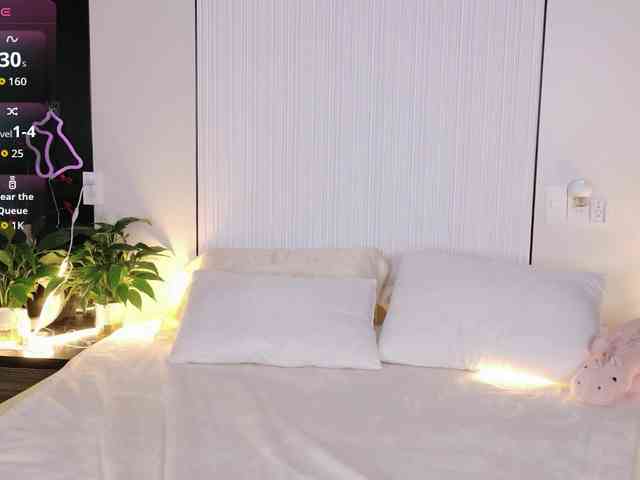 flora-puffini webcam