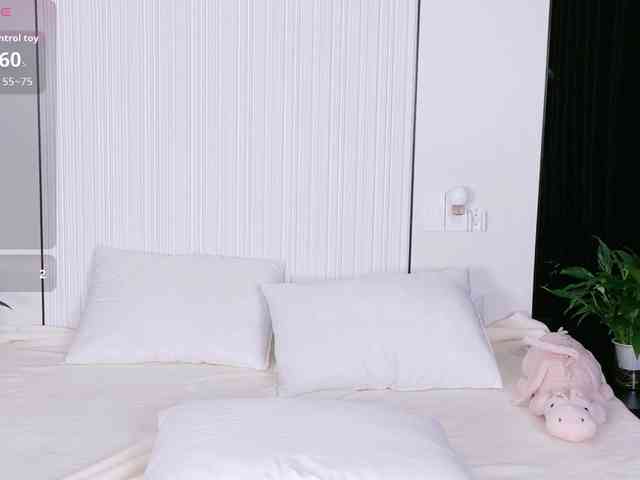 flora-puffini webcam