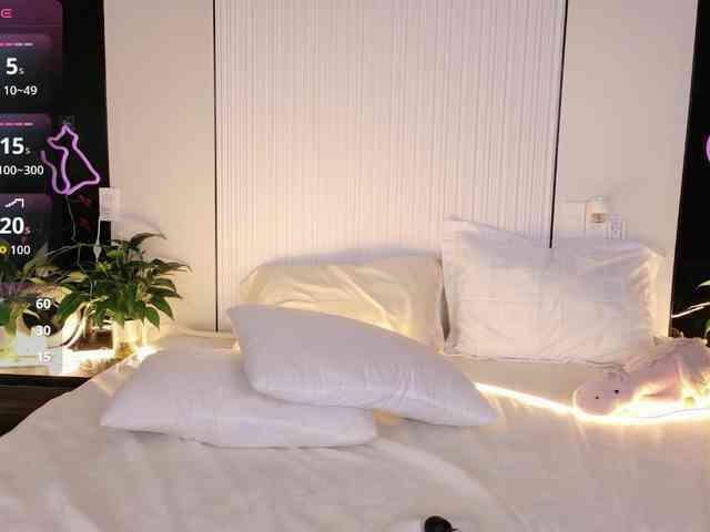 flora-puffini webcam