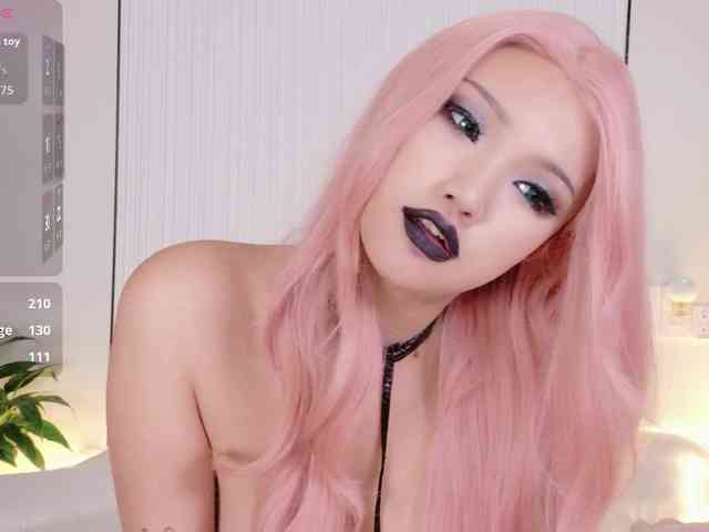 flora-puffini webcam