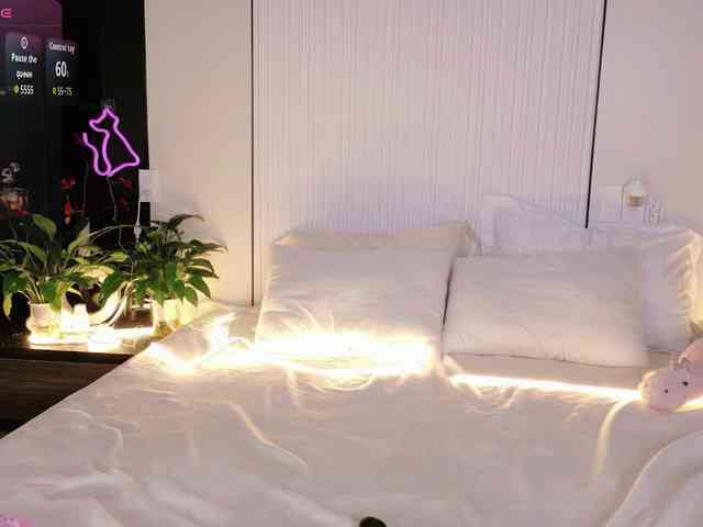 flora-puffini webcam