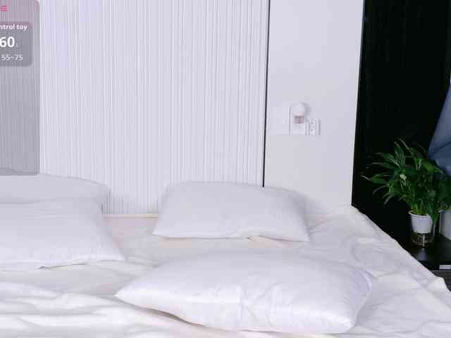 flora-puffini webcam