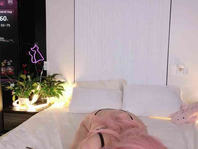 flora-puffini webcam