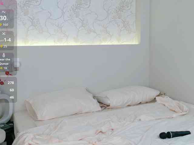 flora-puffini webcam