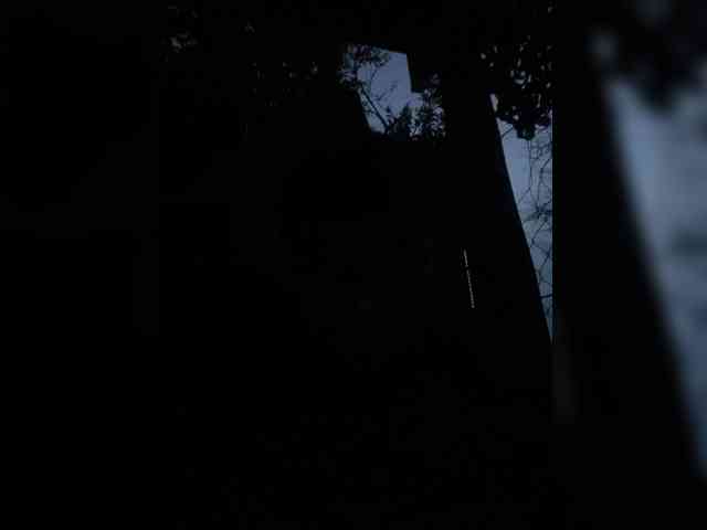 Jenisej2 Sex Cam Show