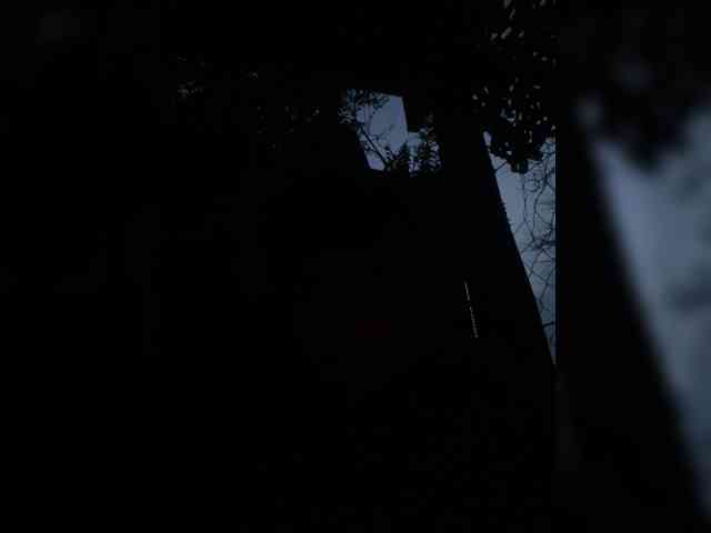 Jenisej2 Sex Cam Show
