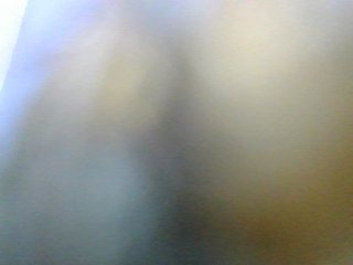 rosah1a