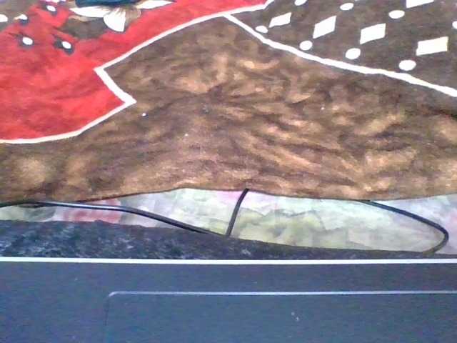 rosah1a live cam on BongaCams