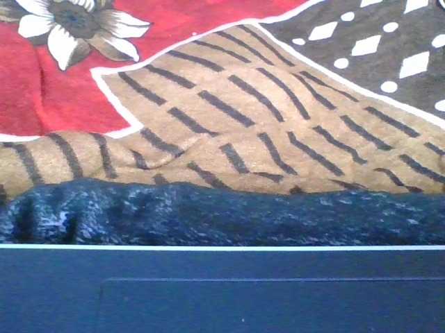 rosah1a live cam on BongaCams