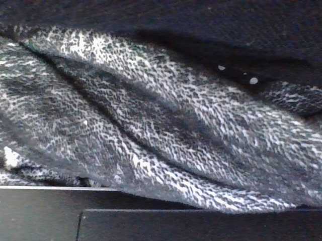 rosah1a live cam on BongaCams