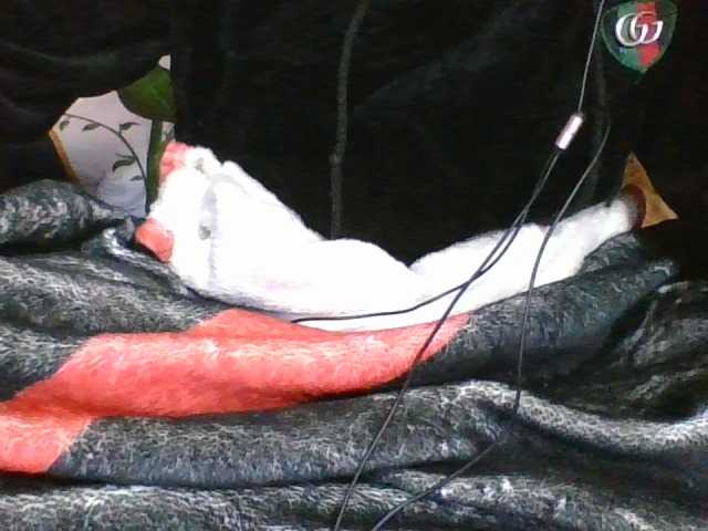 rosah1a live cam on UnifiedCams