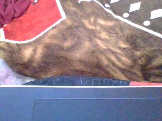 rosah1a live cam on BongaCams