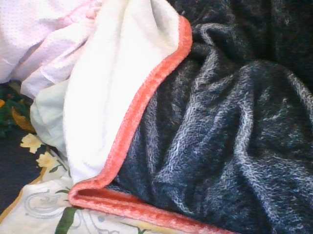 rosah1a live cam on BongaCams