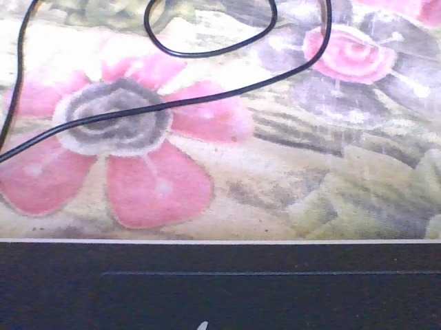 rosah1a live cam on BongaCams