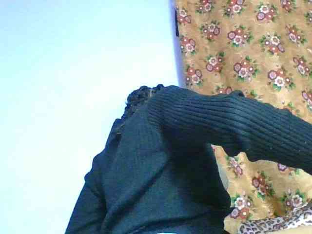 rosah1a webcam