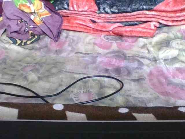 rosah1a webcam