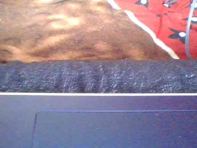 rosah1a webcam