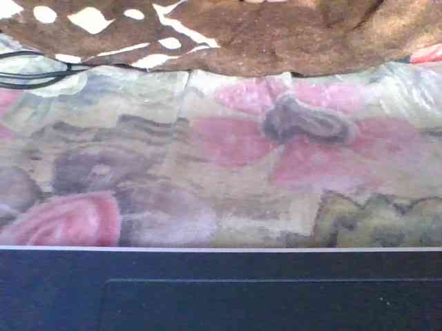 rosah1a webcam