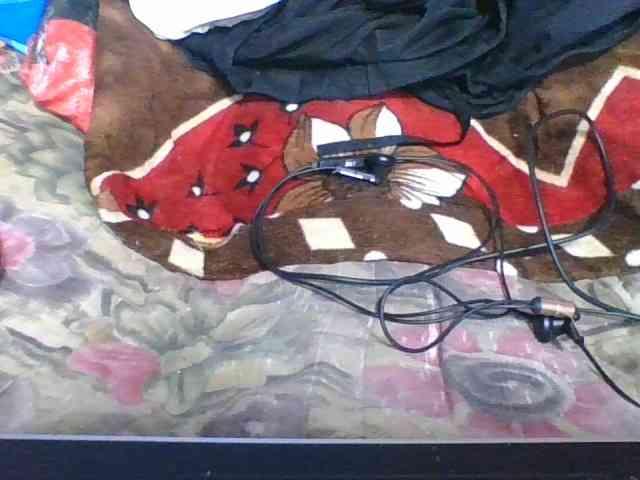 rosah1a webcam
