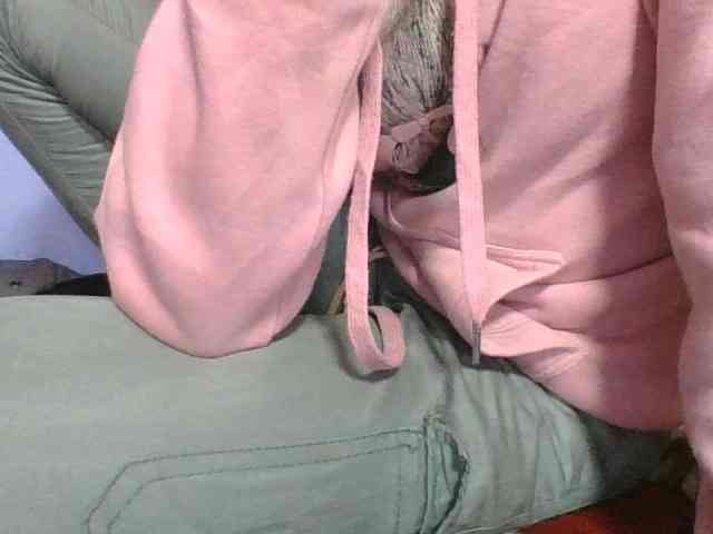 rosah1a webcam