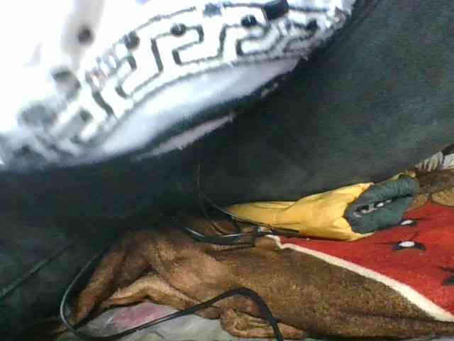 rosah1a webcam