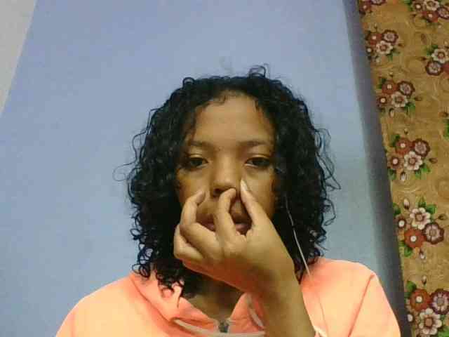 rosah1a webcam