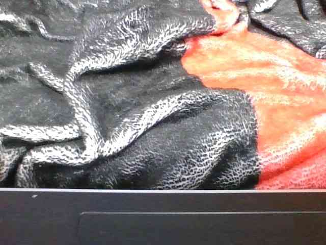 rosah1a webcam