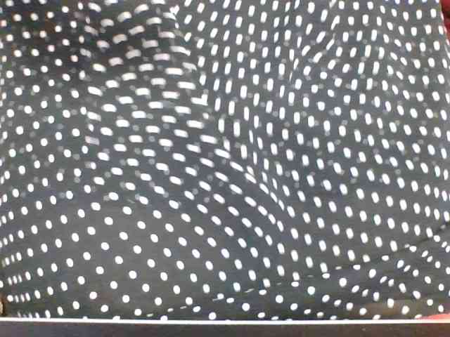 rosah1a webcam