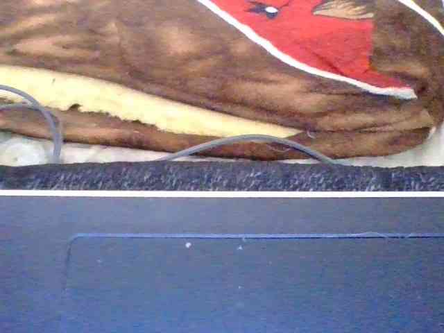 rosah1a webcam