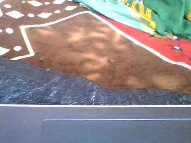 rosah1a webcam